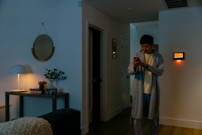 Vivint Orlando smarthome automation